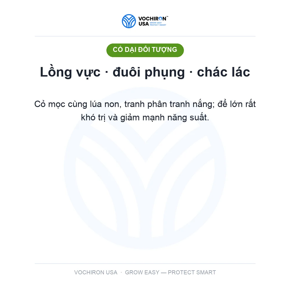 EUROFIT CHÂU ÂU 1 lít — slide 2