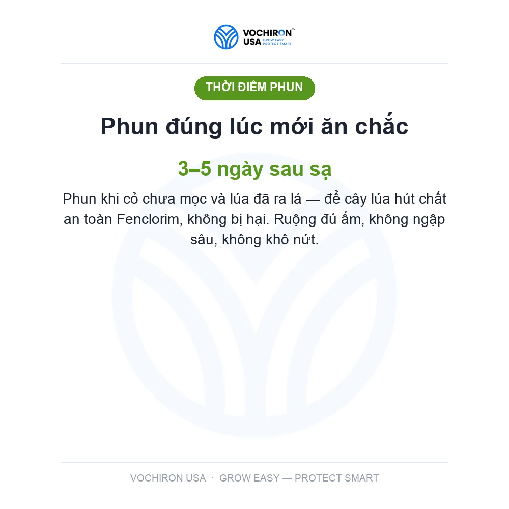 EUROFIT CHÂU ÂU 1 lít — slide 3