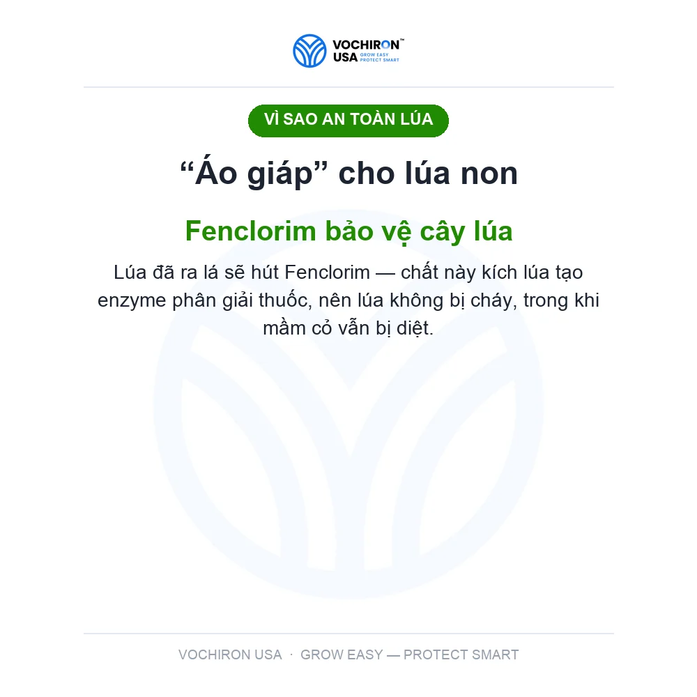 EUROFIT CHÂU ÂU 1 lít — slide 7