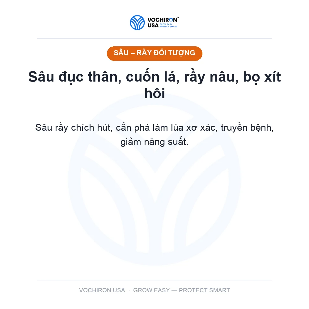 F21 xông hơi sâu đục thân, rầy rệp bản mới F18 — slide 2