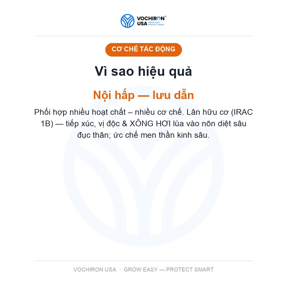 F21 xông hơi sâu đục thân, rầy rệp bản mới F18 — slide 3