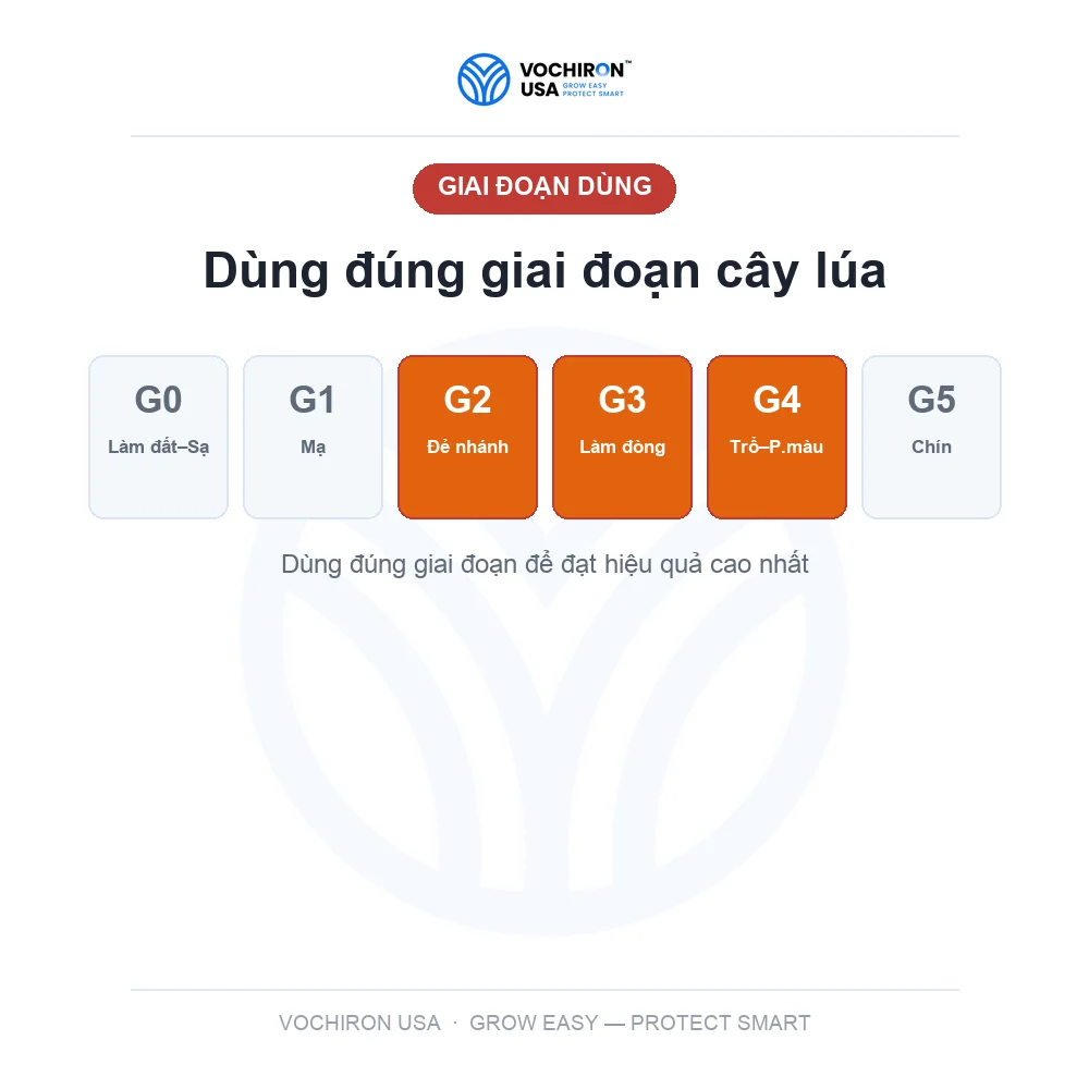 F21 xông hơi sâu đục thân, rầy rệp bản mới F18 — slide 7