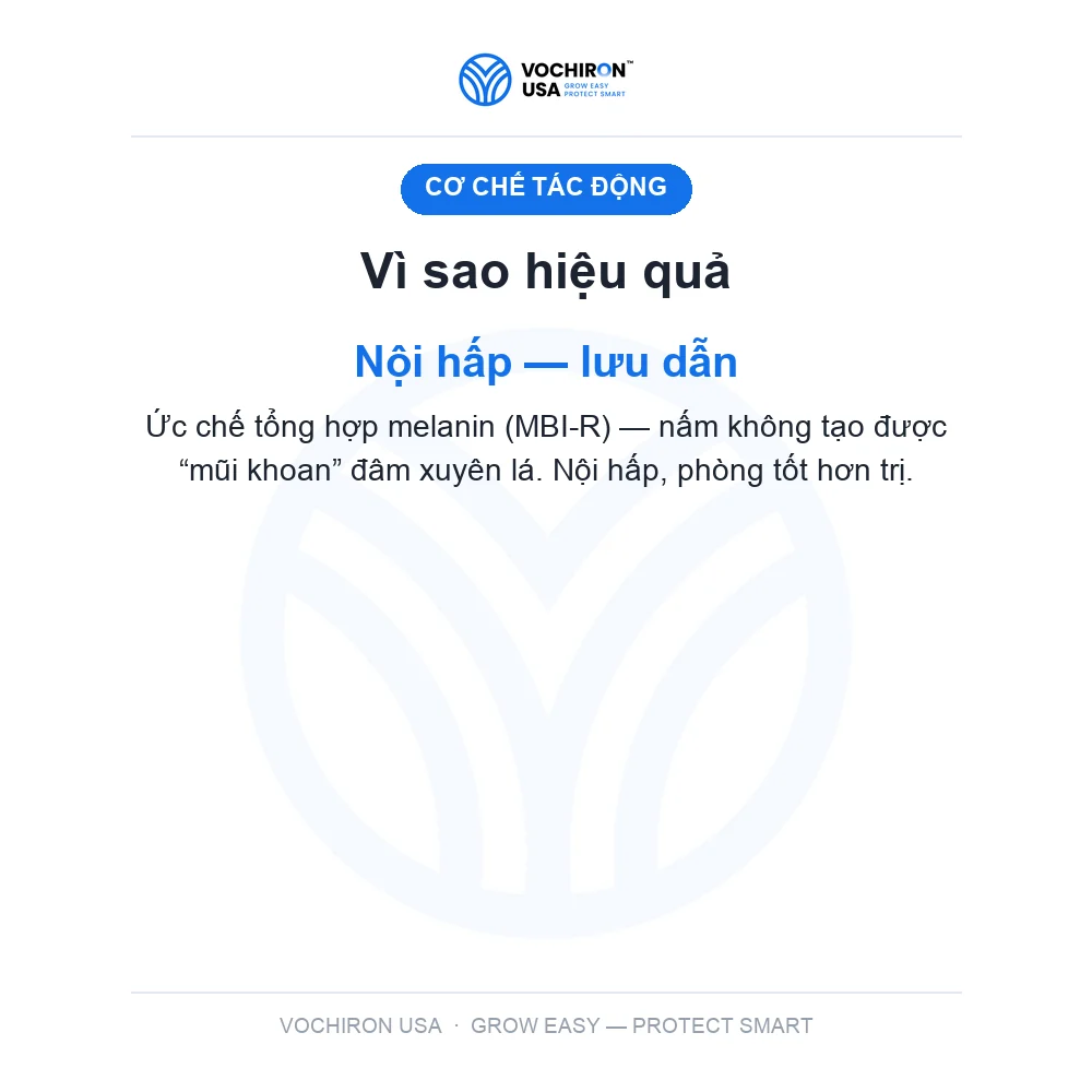 BIM NHẬT 100GR đạo ôn — slide 3