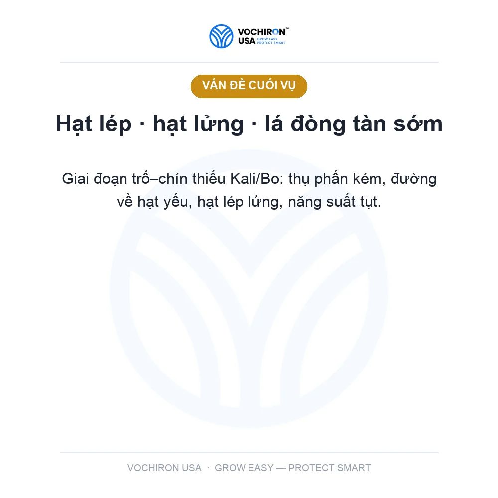 BIO Nước ORGANIC 500ml — slide 2
