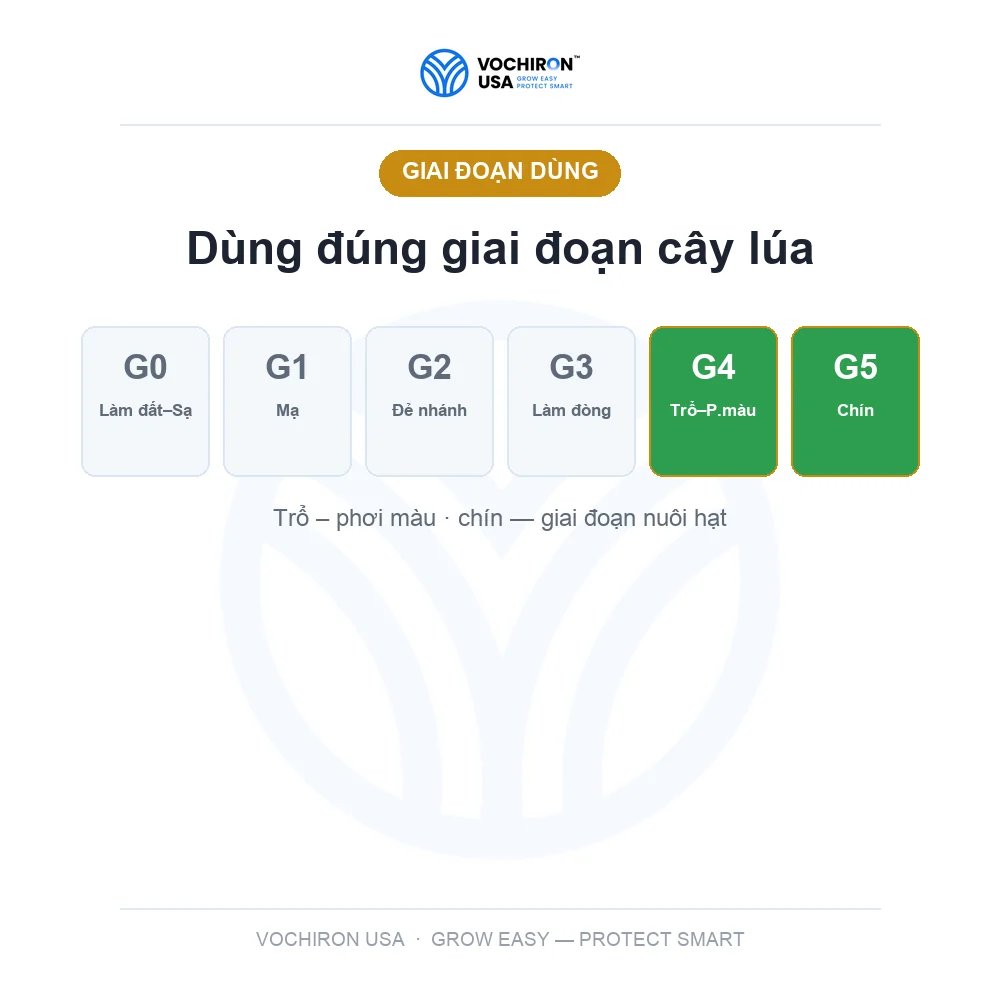 BIO Nước ORGANIC 500ml — slide 6