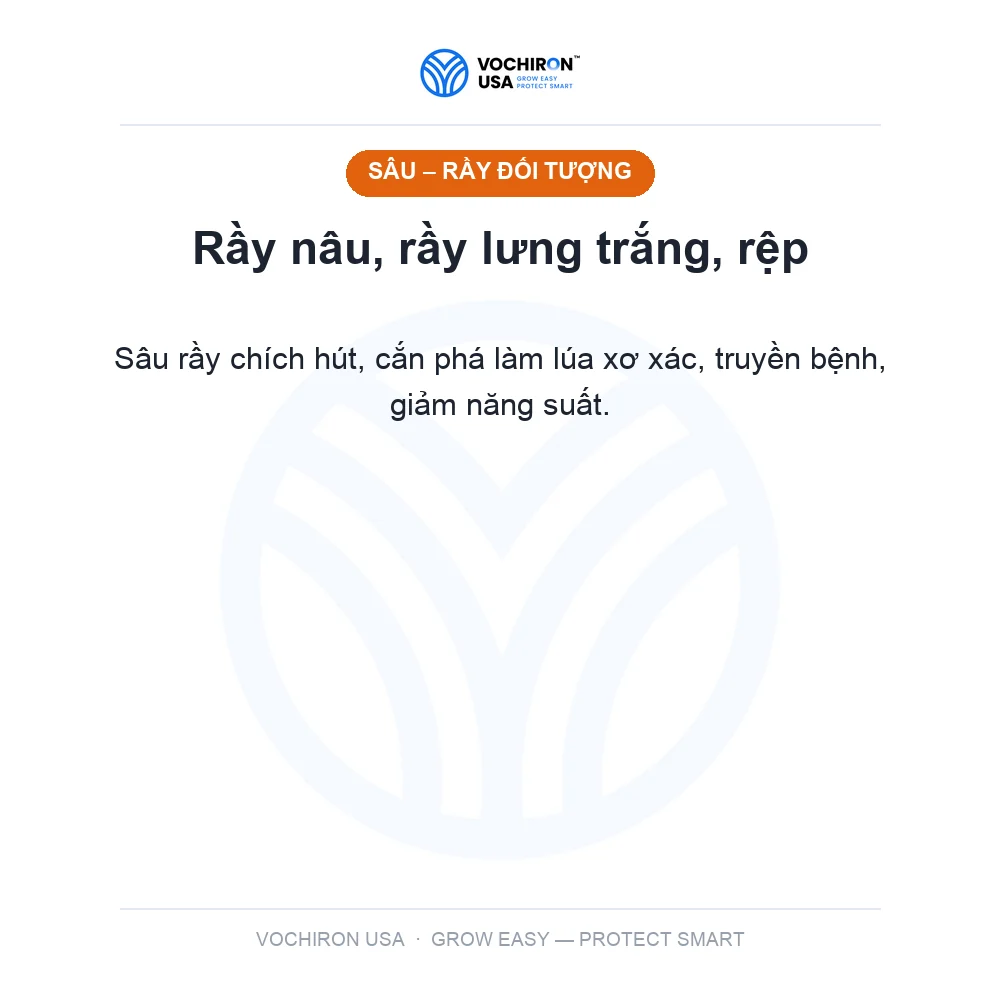 DIỆT SẠCH sâu rầy rệp, xông hơi lưu dẫn — slide 2