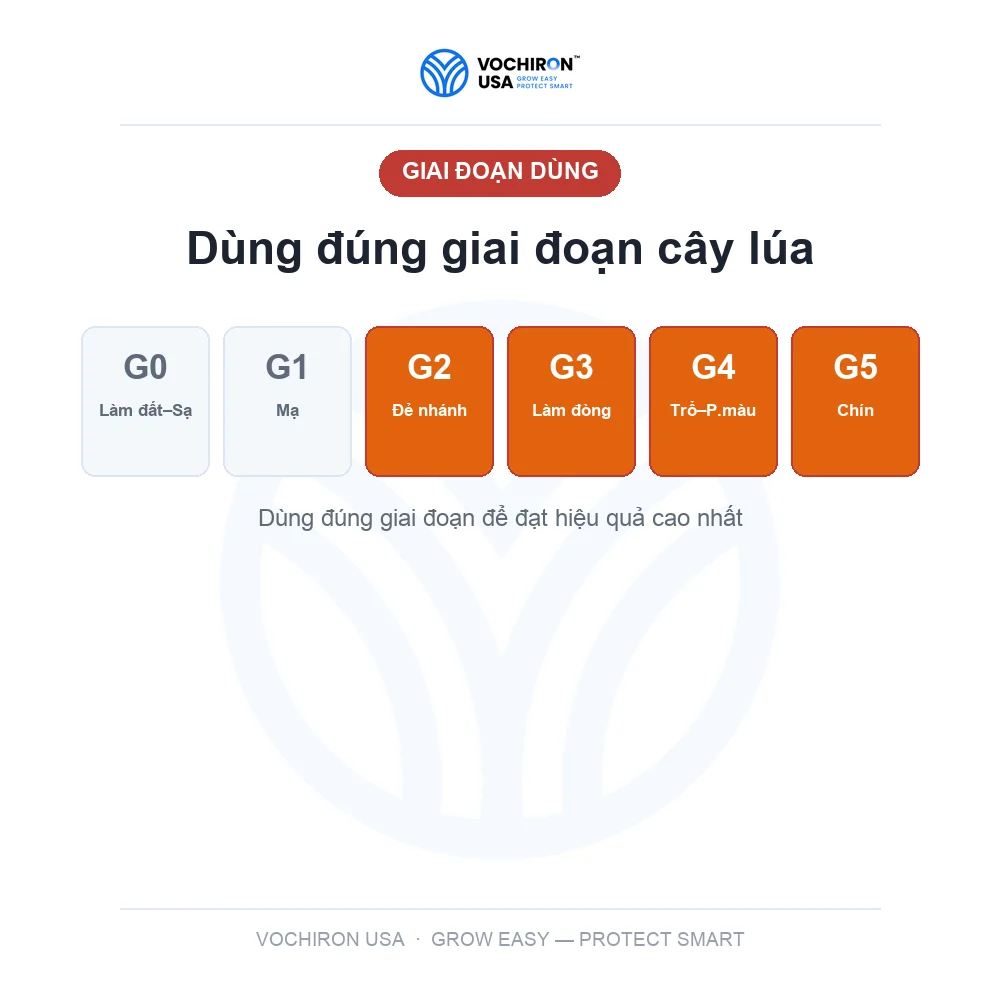 DIỆT SẠCH sâu rầy rệp, xông hơi lưu dẫn — slide 7
