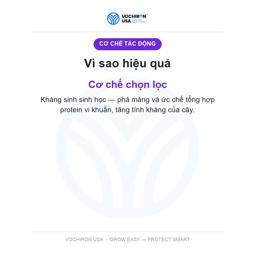 KHUẨN NHẬT Nước 500ml — slide 3