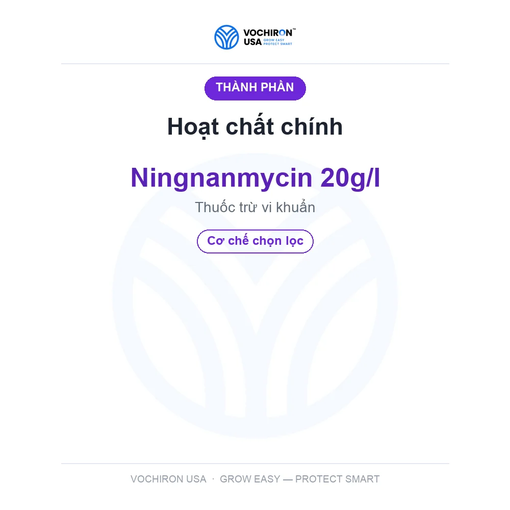 KHUẨN NHẬT Nước 500ml — slide 4