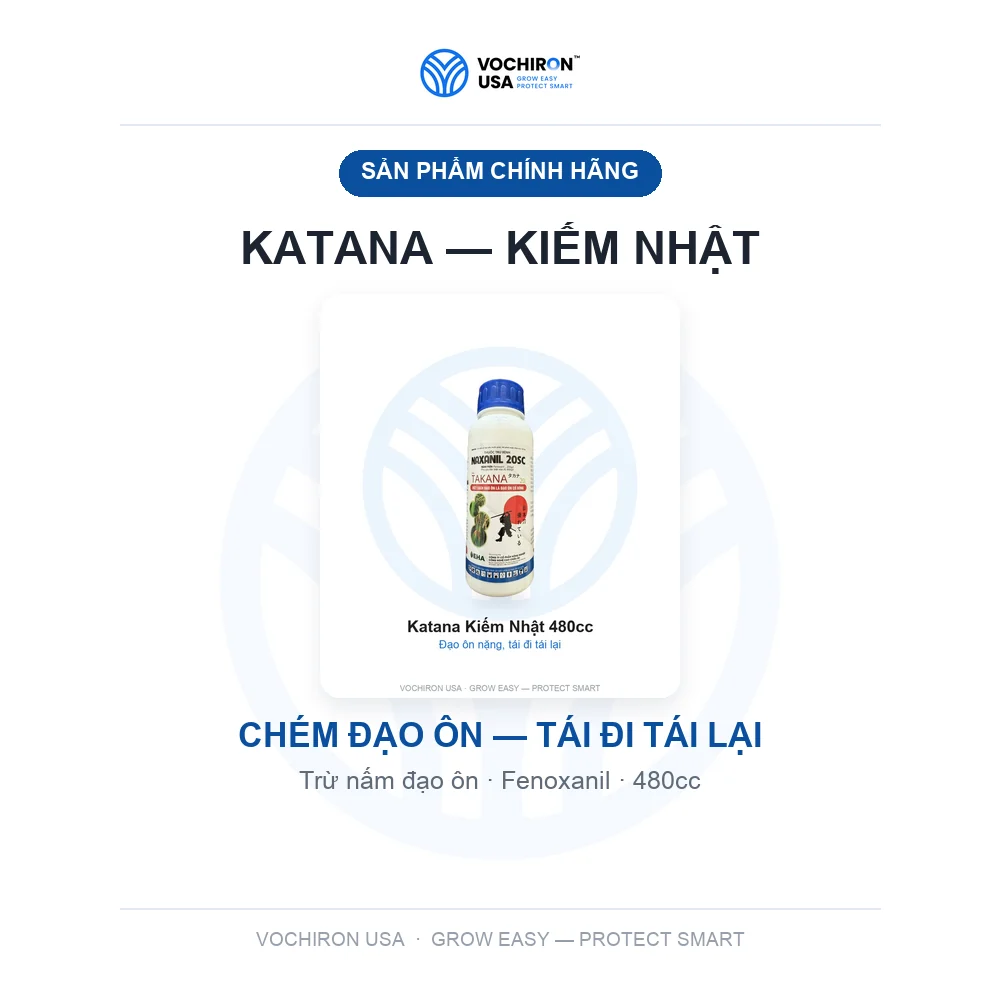 Katana kiếm nhật bản 480cc đạo ôn — slide 1