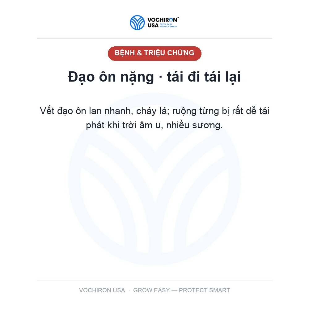 Katana kiếm nhật bản 480cc đạo ôn — slide 2