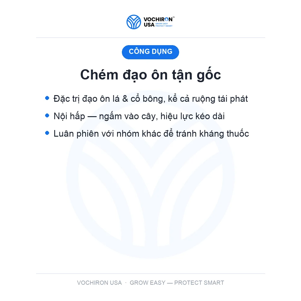Katana kiếm nhật bản 480cc đạo ôn — slide 5