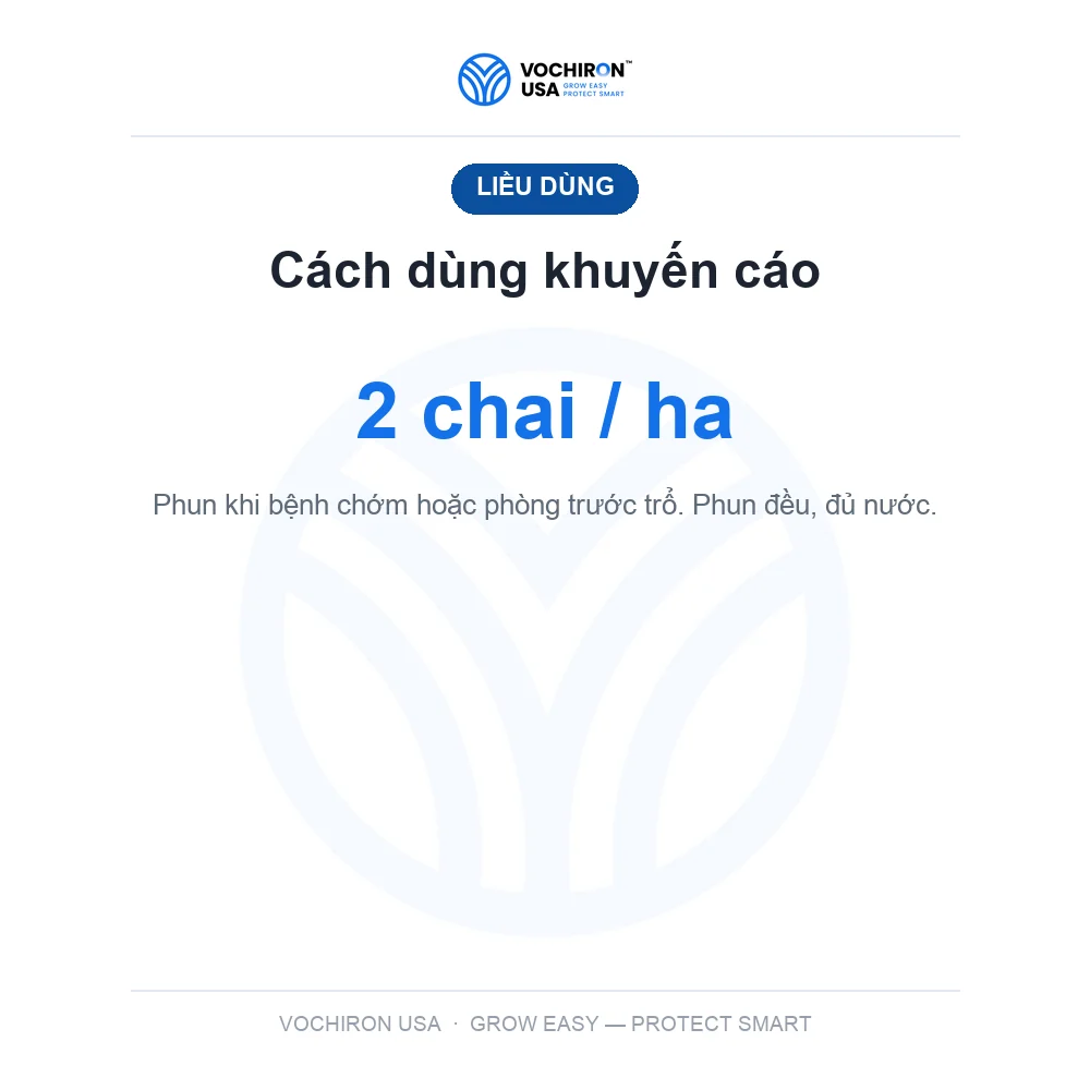 Katana kiếm nhật bản 480cc đạo ôn — slide 6