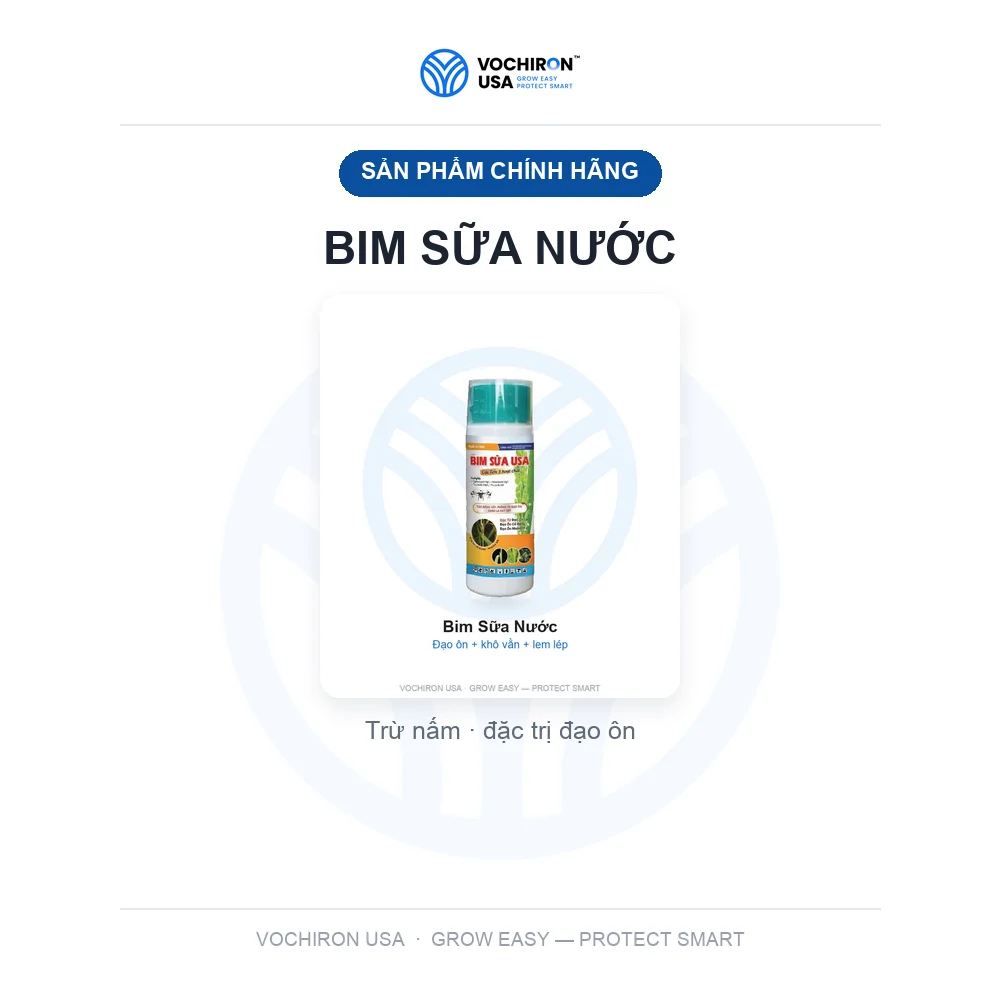 BIM SỮA NƯỚC — slide 1