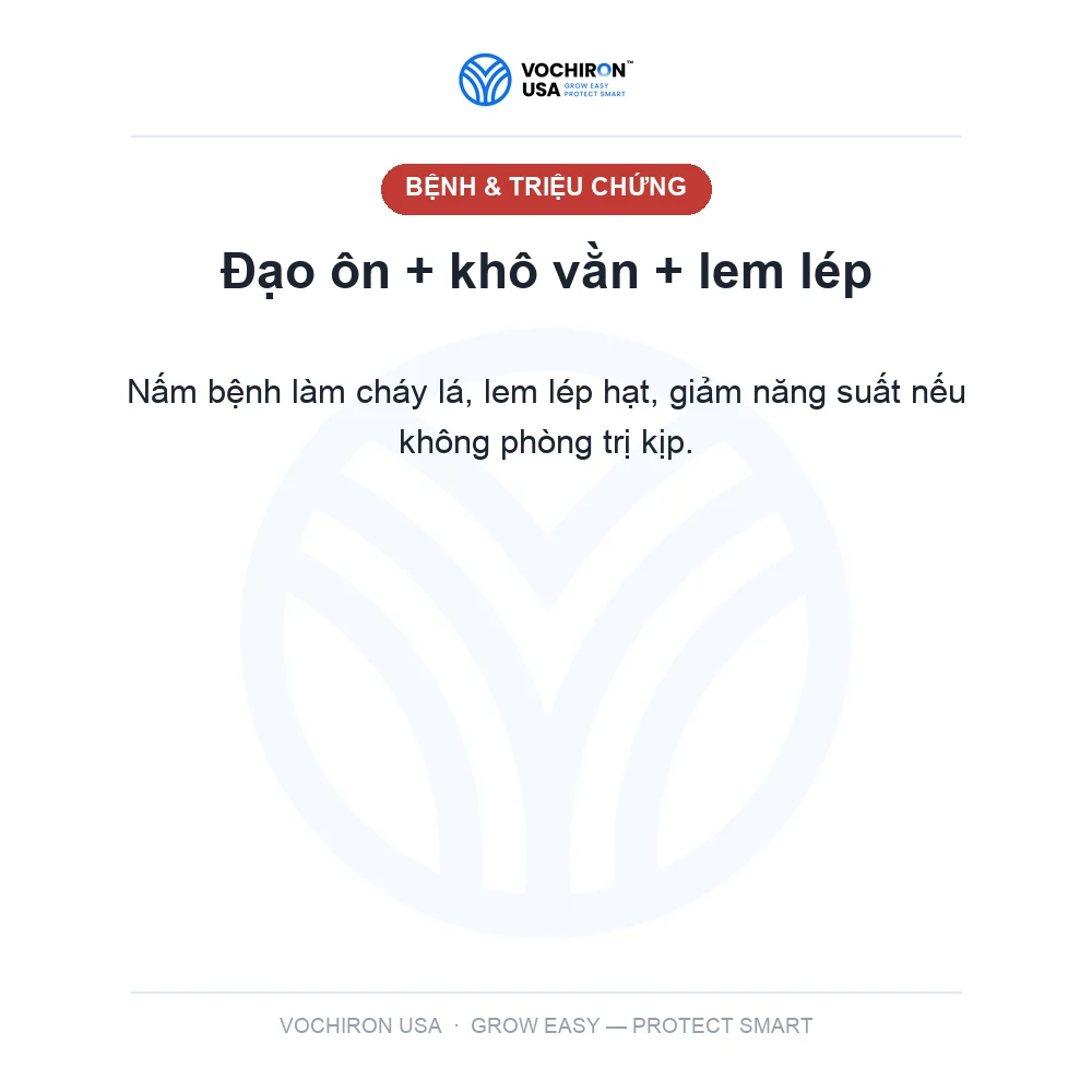 BIM SỮA NƯỚC — slide 2