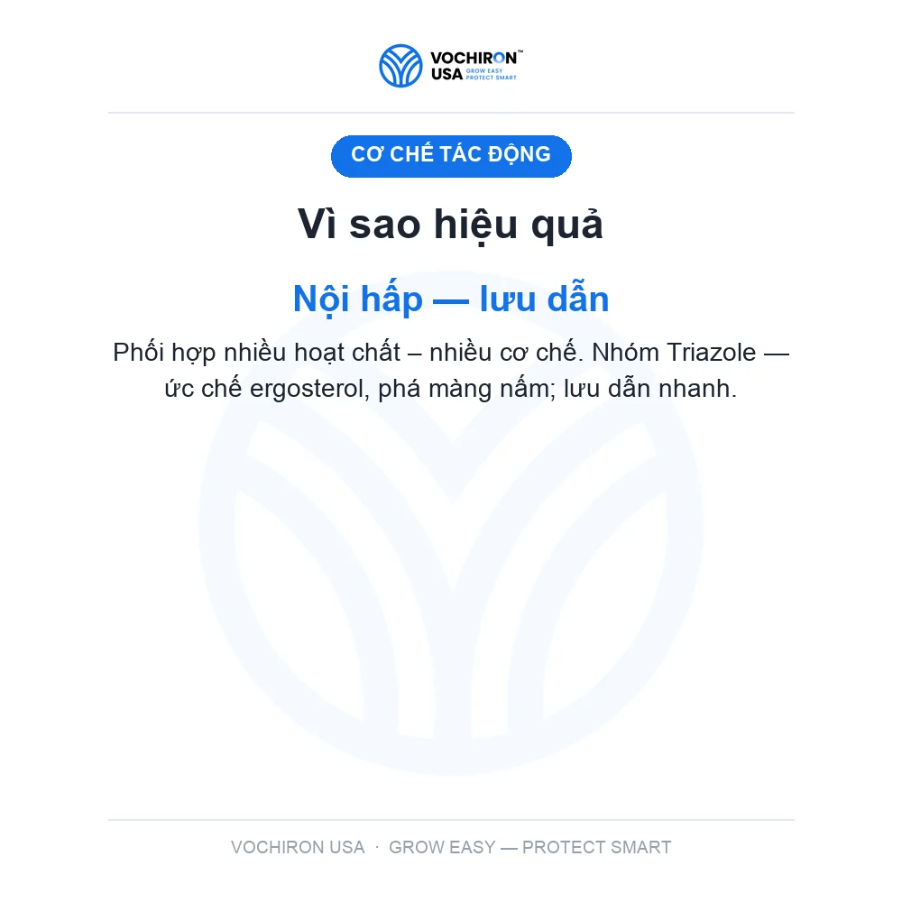 BIM SỮA NƯỚC — slide 3