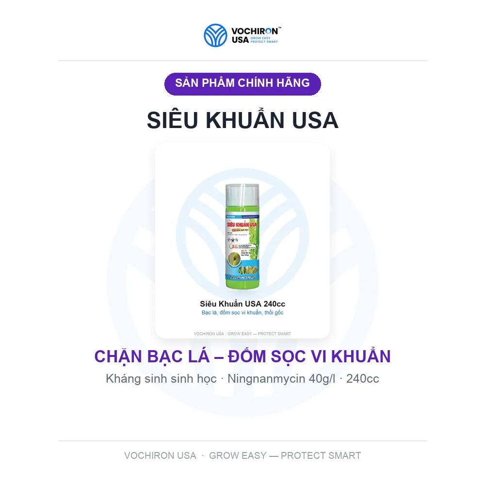 SIÊU KHUẨN USA 240cc — slide 1