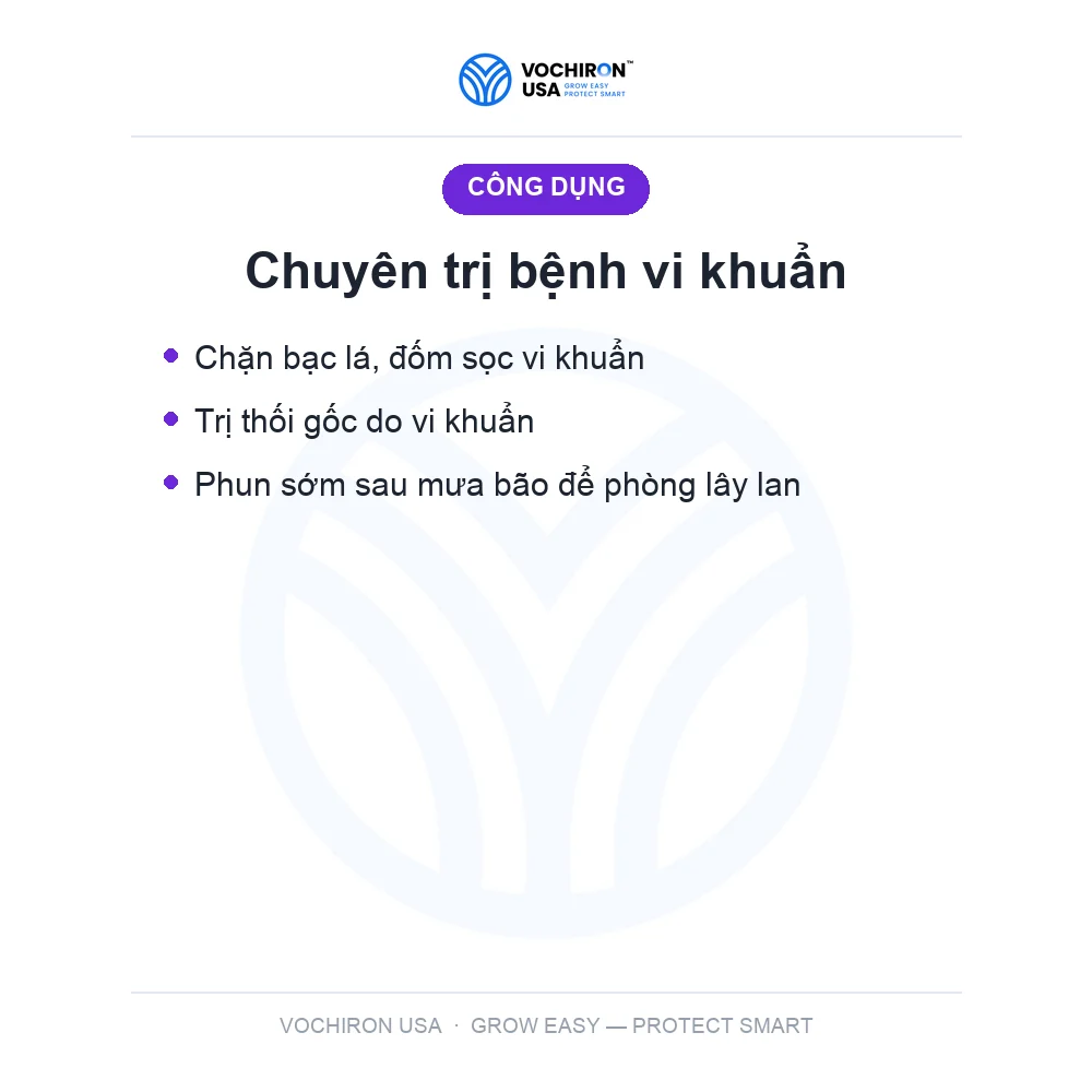 SIÊU KHUẨN USA 240cc — slide 5