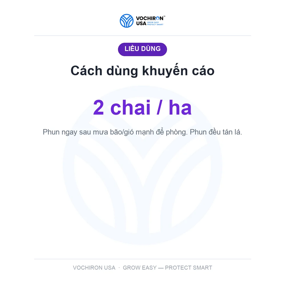 SIÊU KHUẨN USA 240cc — slide 6