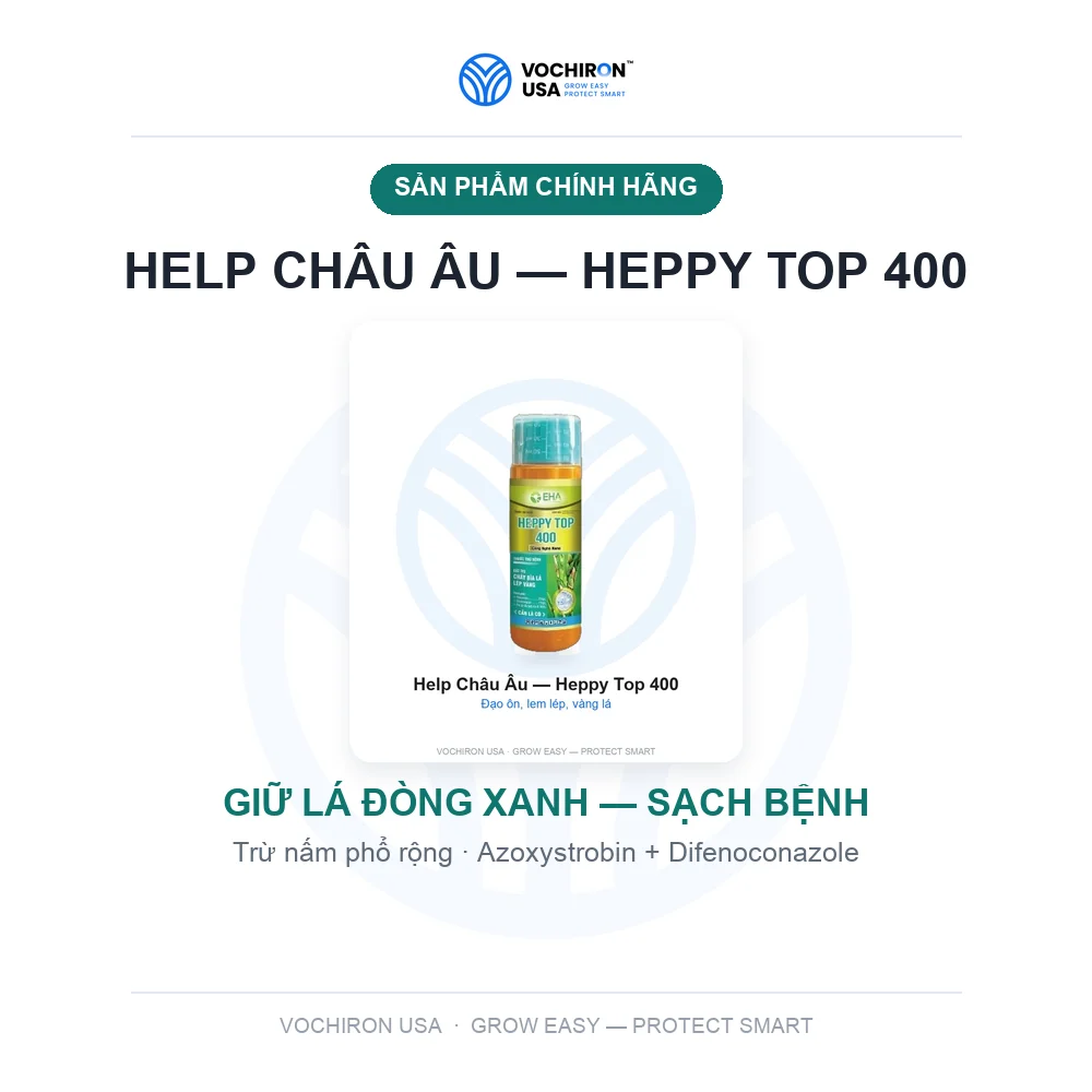 Help Châu Âu Heppy top 400 — slide 1