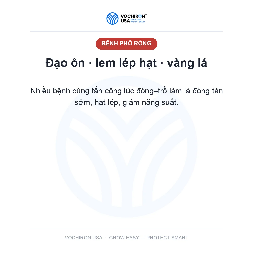 Help Châu Âu Heppy top 400 — slide 2