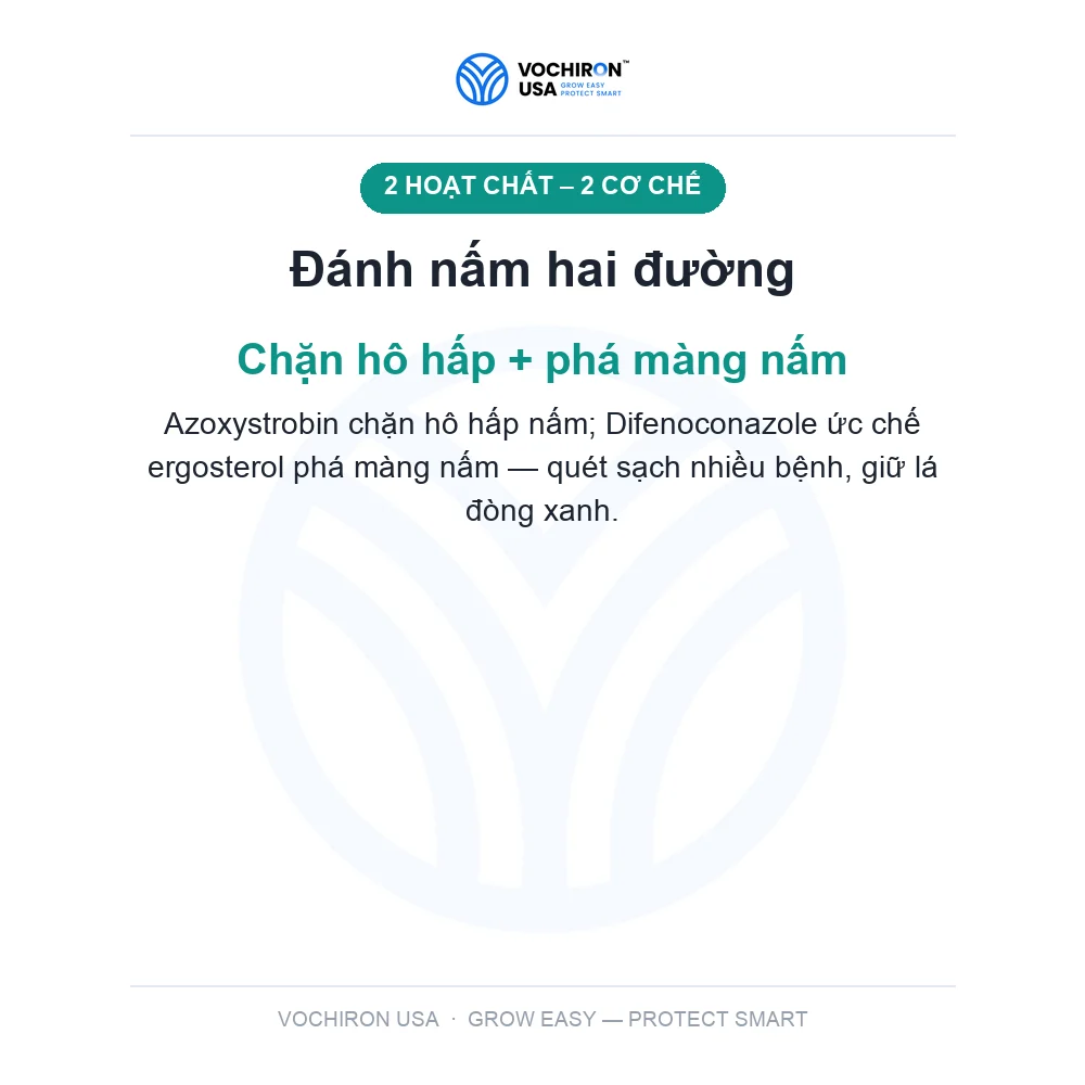 Help Châu Âu Heppy top 400 — slide 3