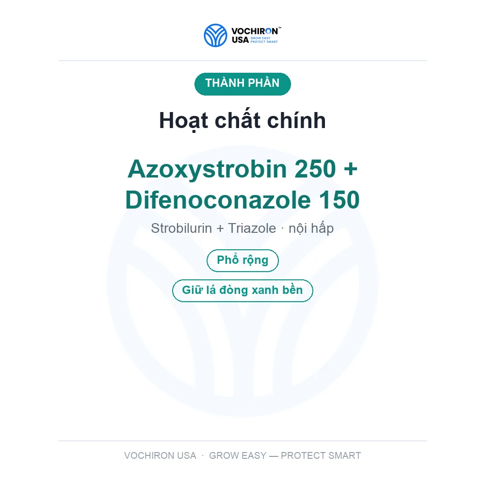 Help Châu Âu Heppy top 400 — slide 4