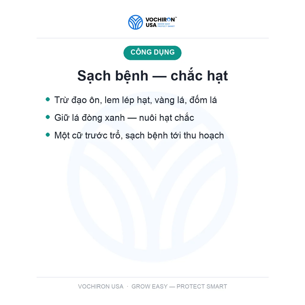 Help Châu Âu Heppy top 400 — slide 5