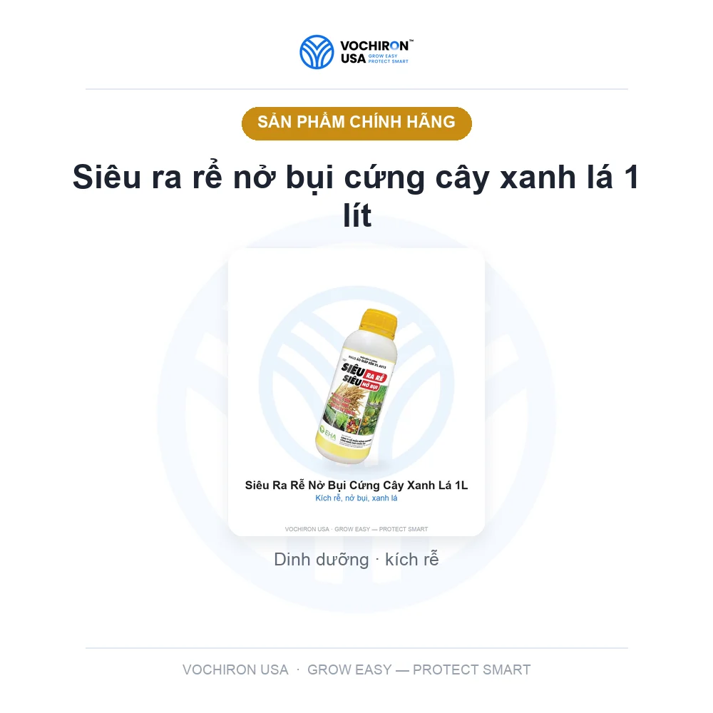 Siêu ra rể nở bụi cứng cây xanh lá 1 lít — slide 1
