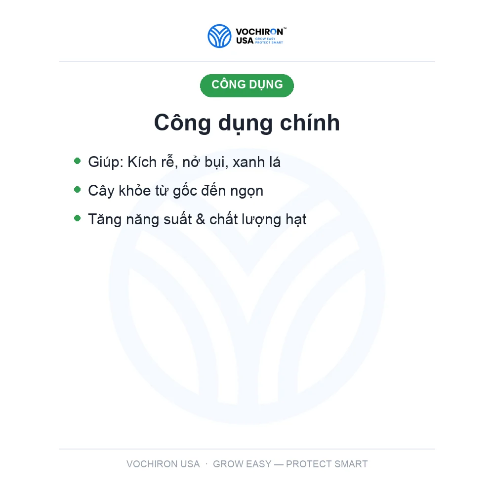 Siêu ra rể nở bụi cứng cây xanh lá 1 lít — slide 3
