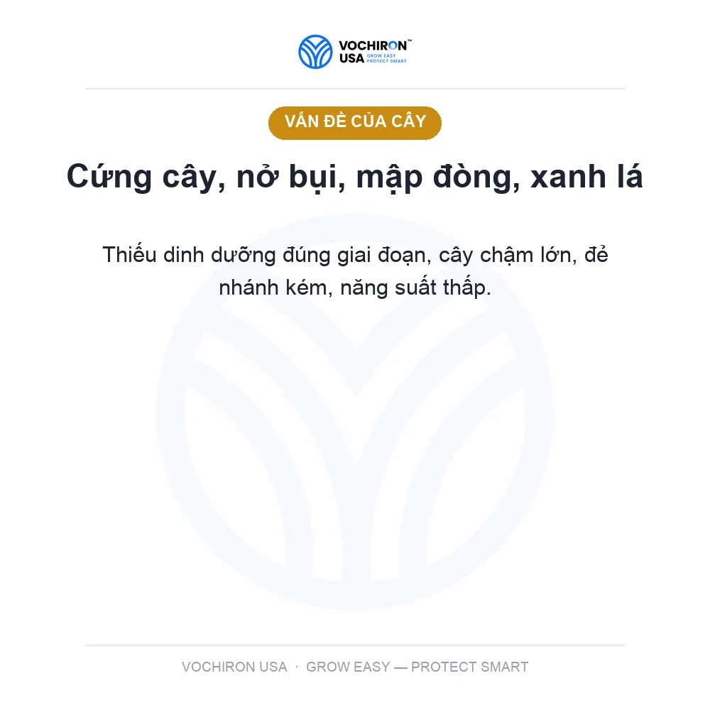 Antracol nước 1 lít (siêu cứng cây, xanh lá) — slide 2