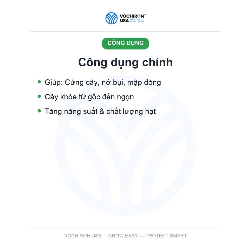 Antracol nước 1 lít (siêu cứng cây, xanh lá) — slide 3