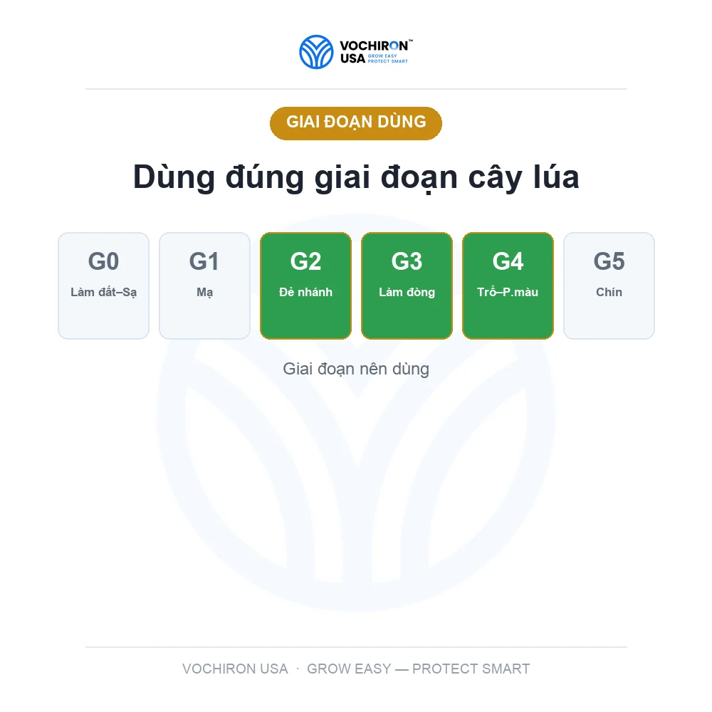 Antracol nước 1 lít (siêu cứng cây, xanh lá) — slide 6