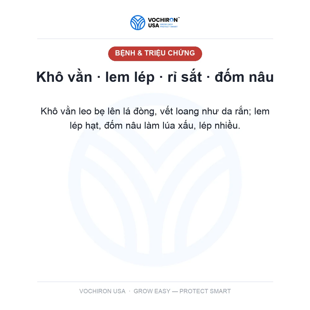 TOPVIL 50SC ấn độ, công nghệ nano — slide 2