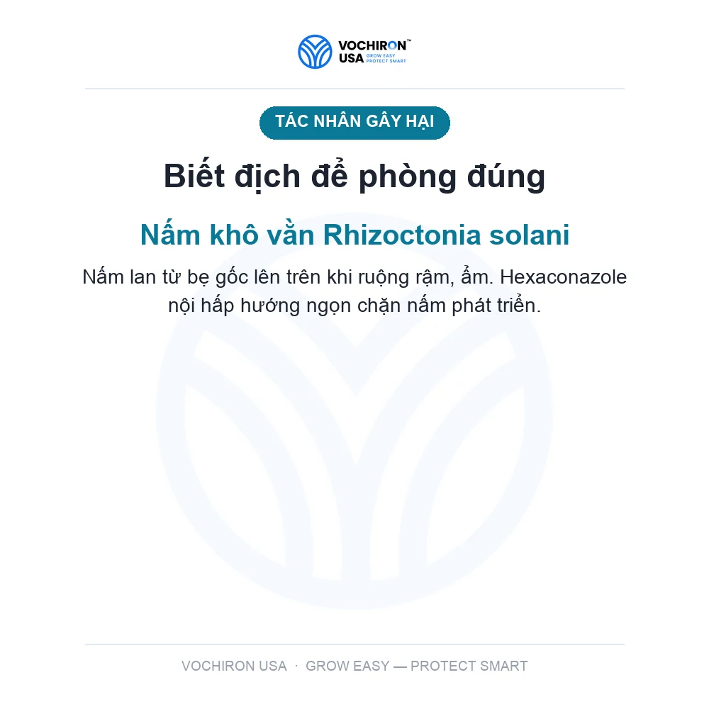 TOPVIL 50SC ấn độ, công nghệ nano — slide 3