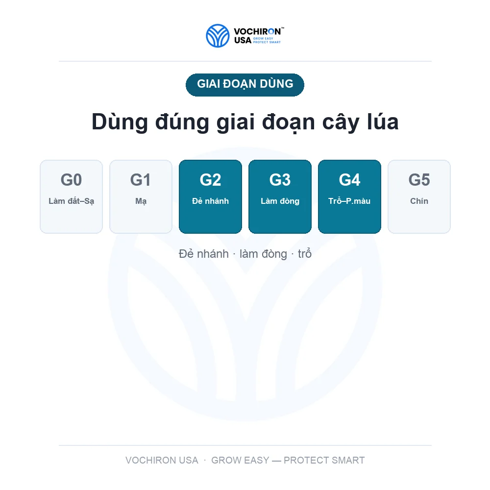 TOPVIL 50SC ấn độ, công nghệ nano — slide 7