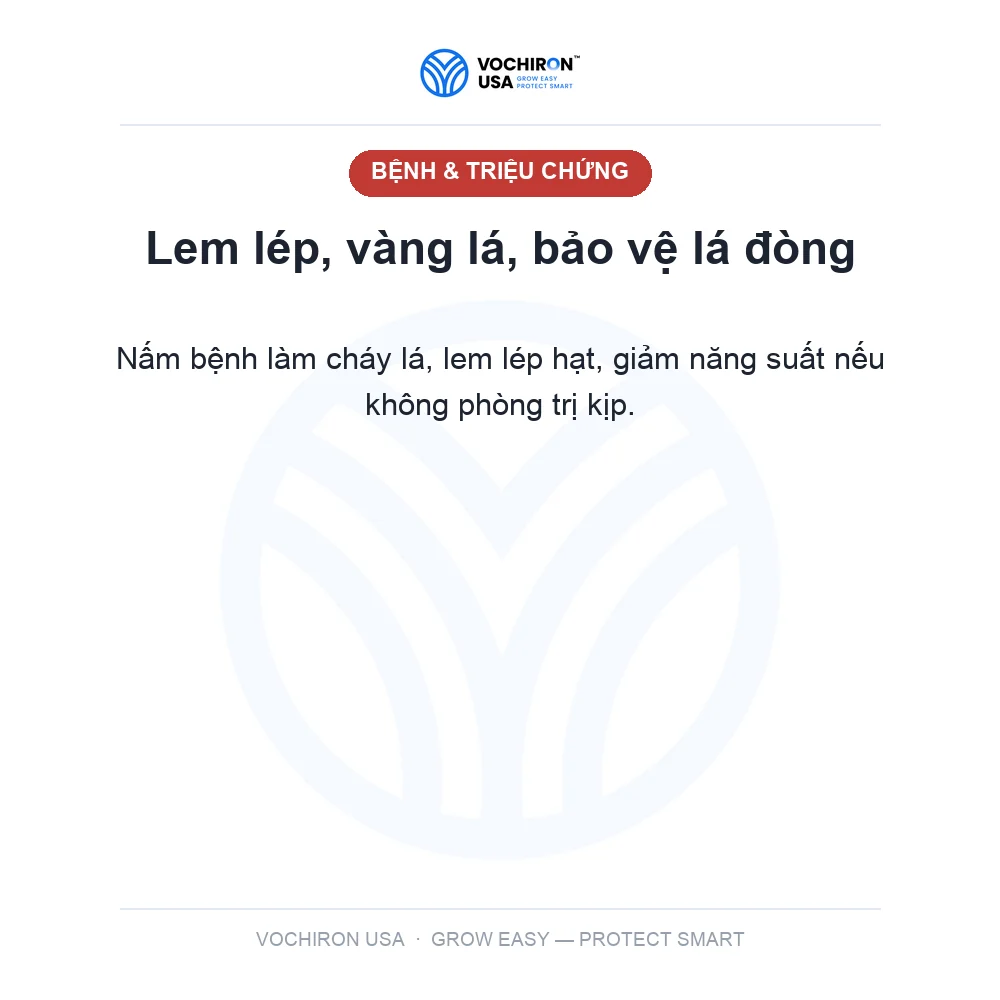 Til super 240ml — slide 2