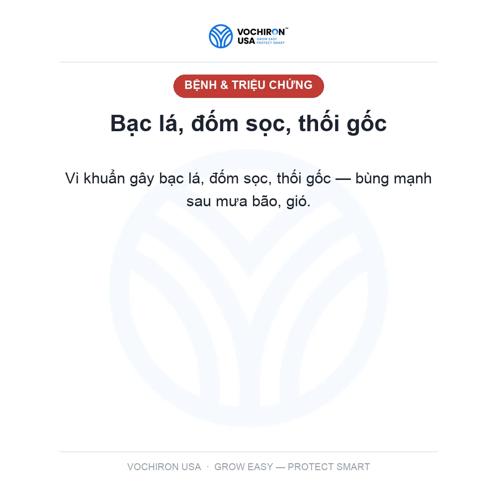 KHUẨN NHẬT 3 hoạt chất cực mạnh GÓI 100gr — slide 2
