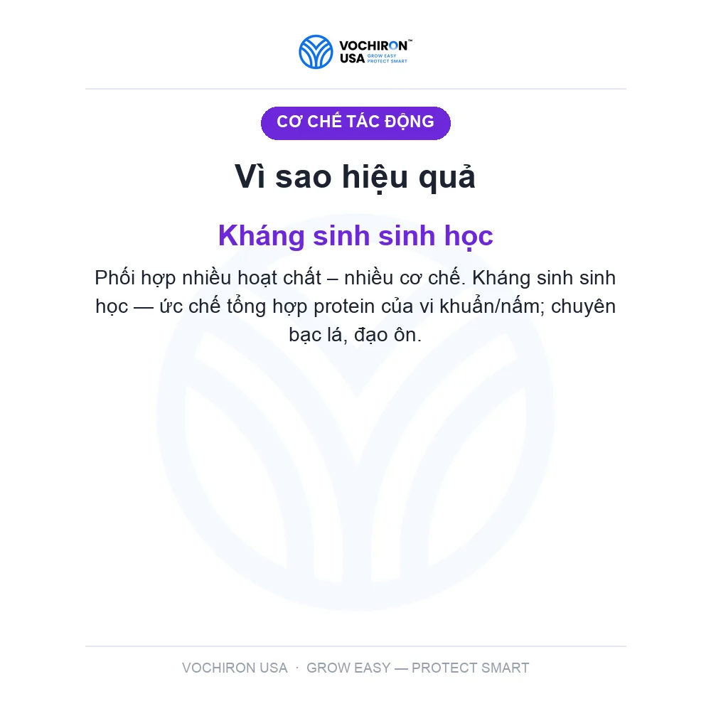 KHUẨN NHẬT 3 hoạt chất cực mạnh GÓI 100gr — slide 3