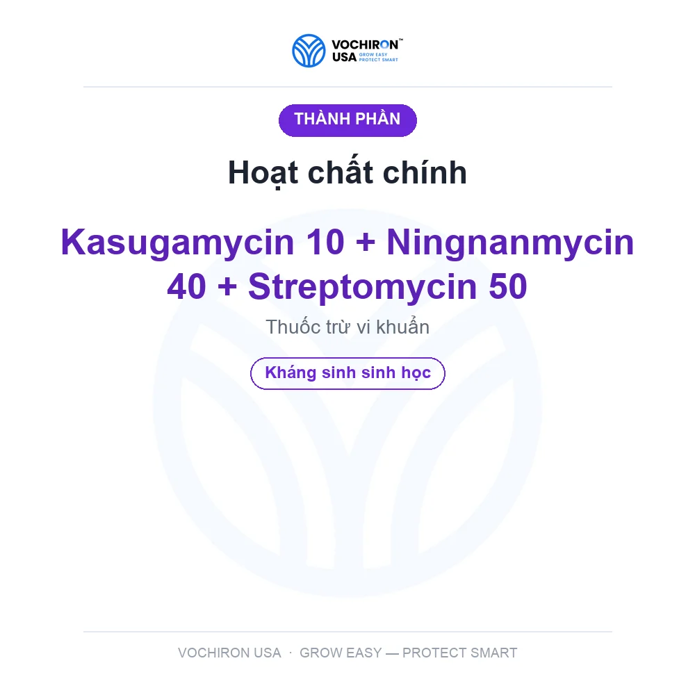 KHUẨN NHẬT 3 hoạt chất cực mạnh GÓI 100gr — slide 4