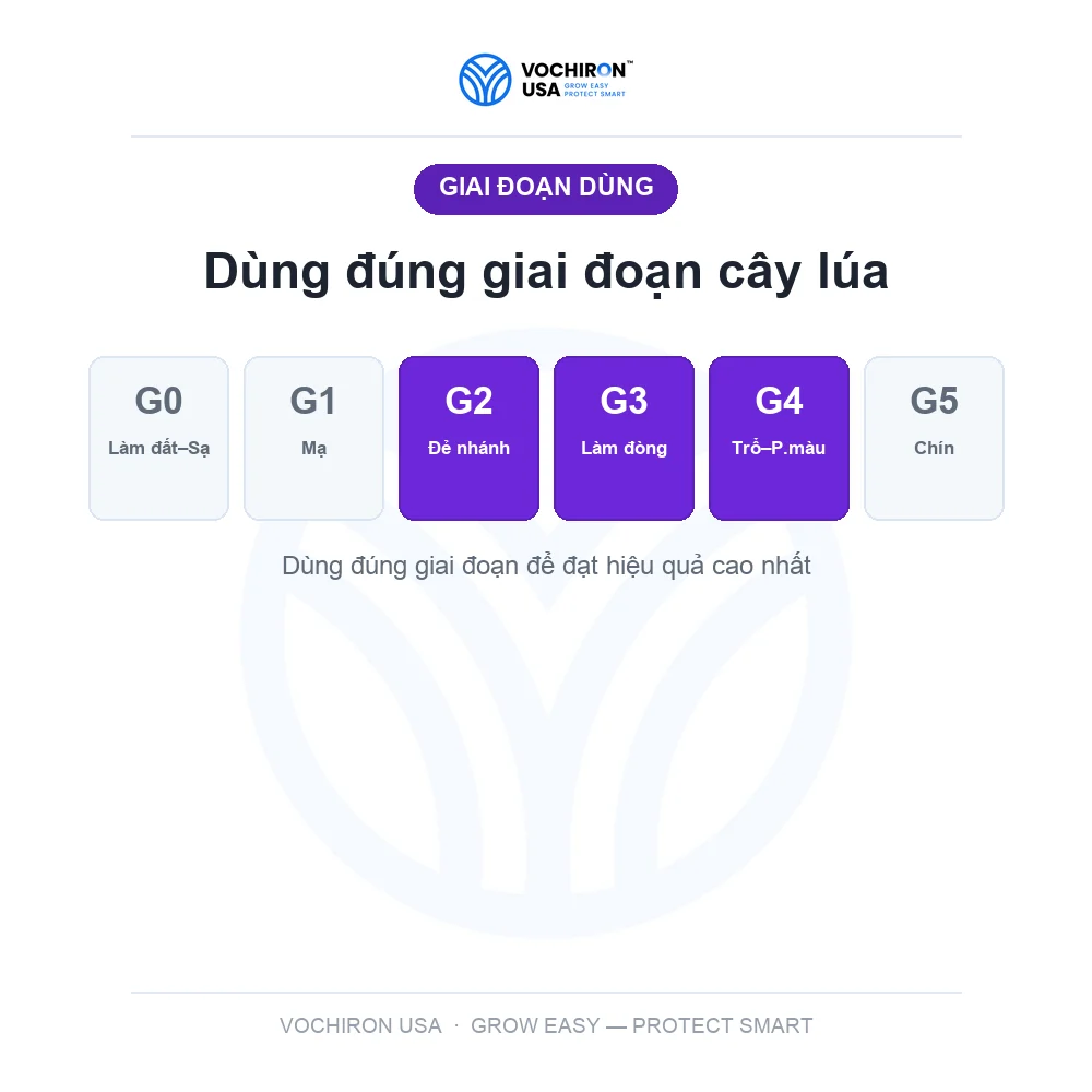 KHUẨN NHẬT 3 hoạt chất cực mạnh GÓI 100gr — slide 7