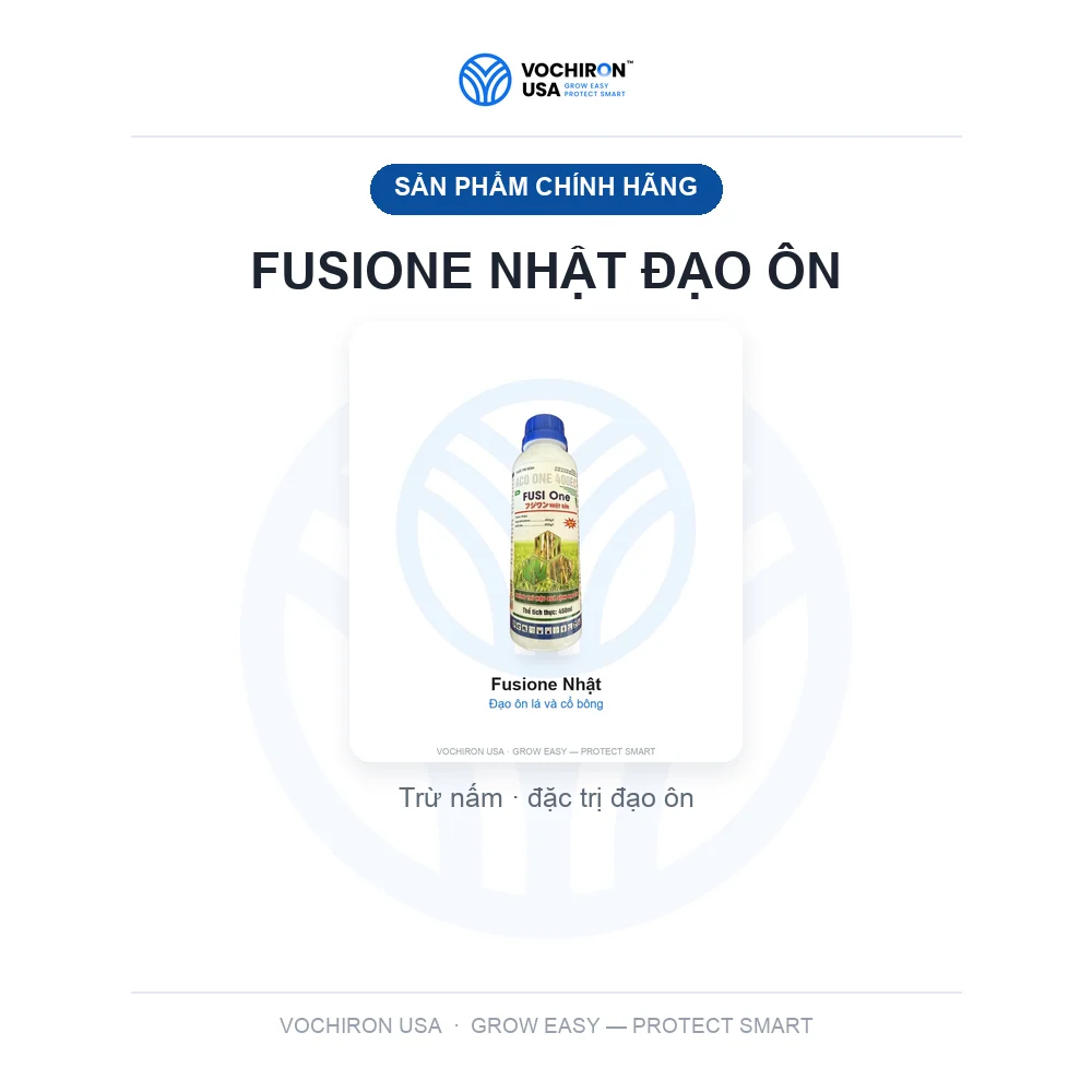 FUSIONE NHẬT đạo ôn — slide 1