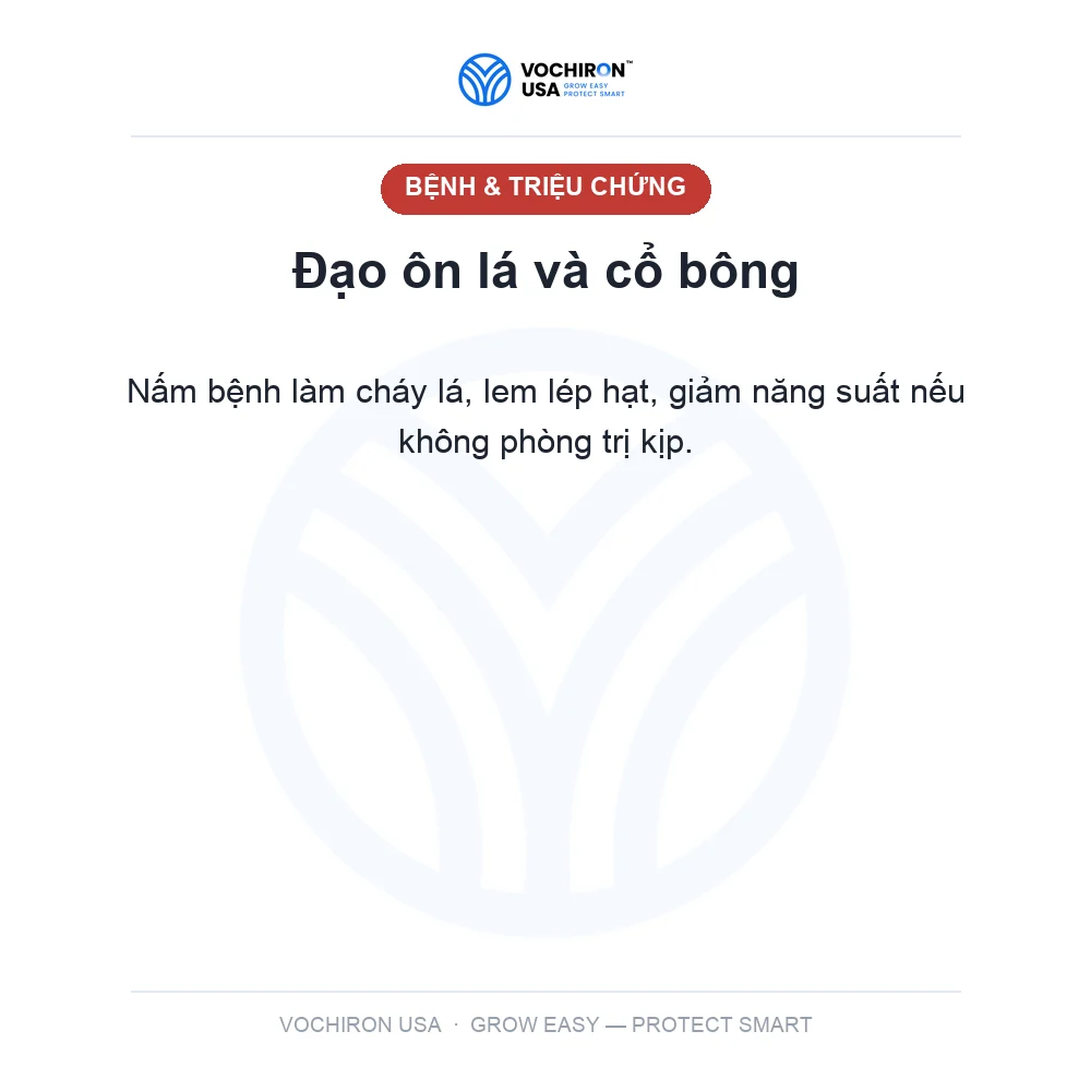 FUSIONE NHẬT đạo ôn — slide 2