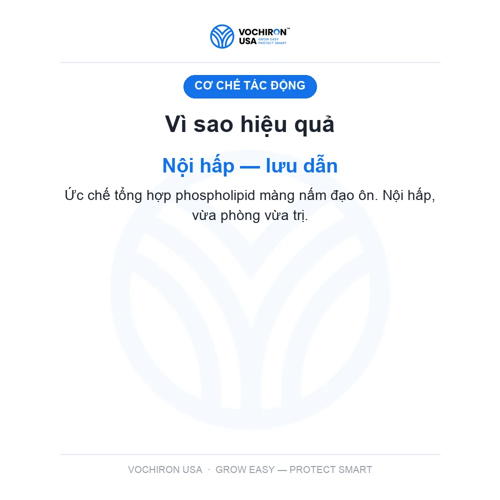 FUSIONE NHẬT đạo ôn — slide 3