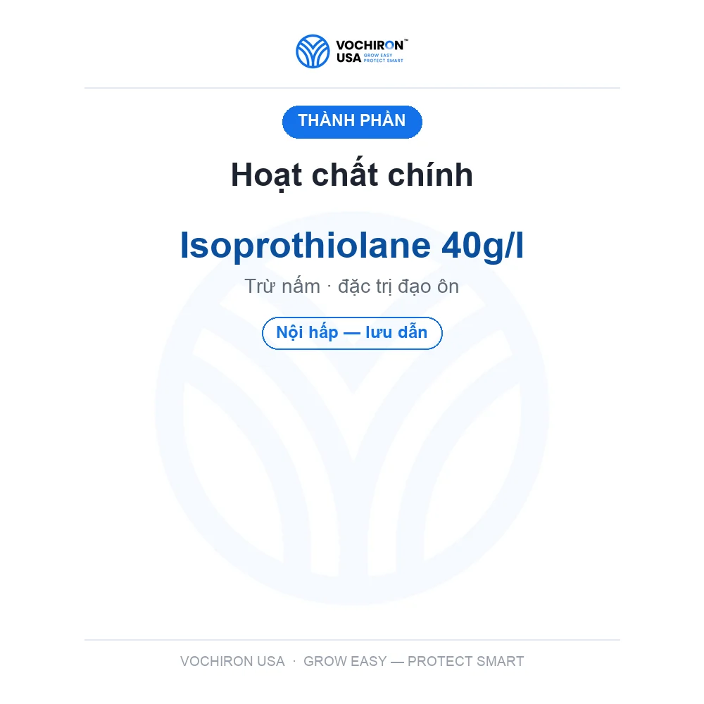 FUSIONE NHẬT đạo ôn — slide 4