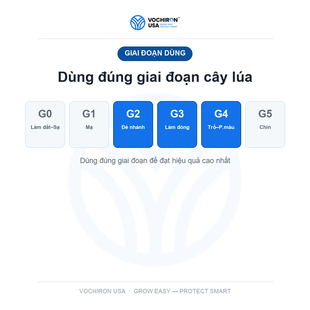 FUSIONE NHẬT đạo ôn — slide 7