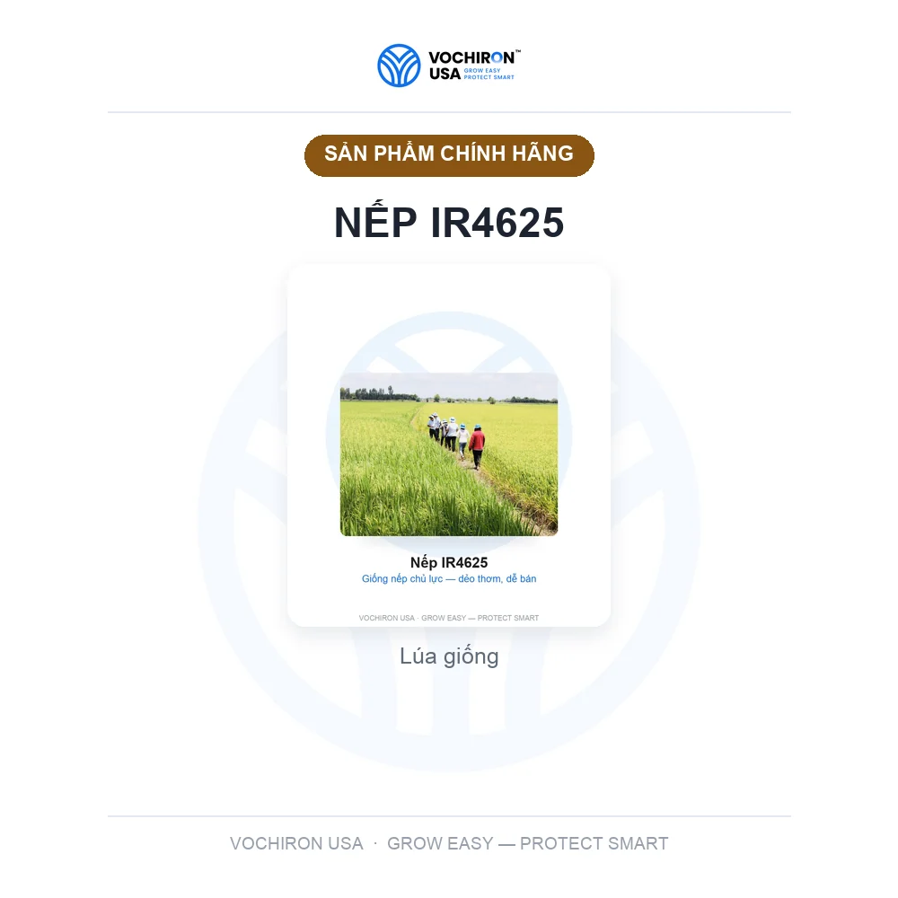 Nếp IR4625 — slide 1