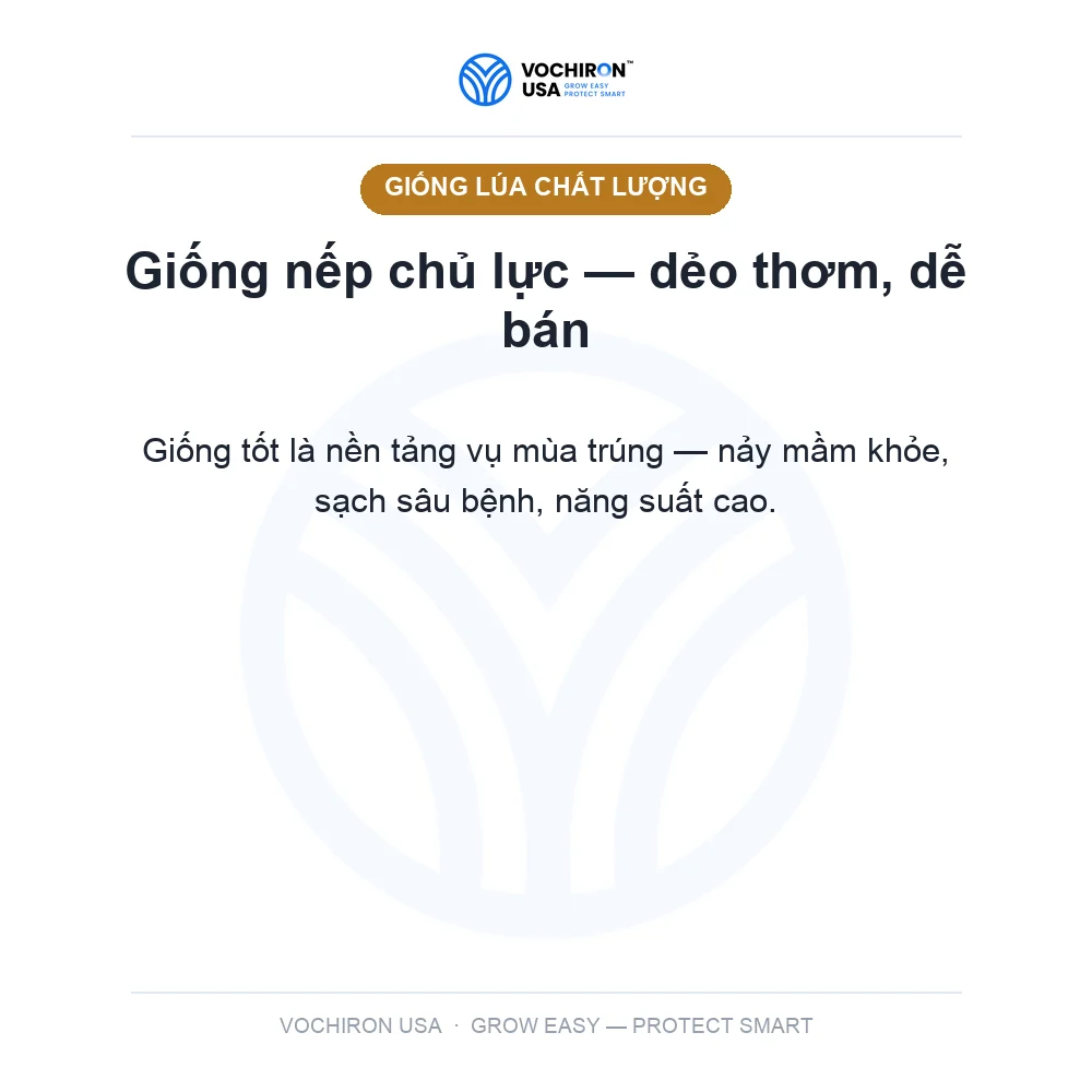 Nếp IR4625 — slide 2