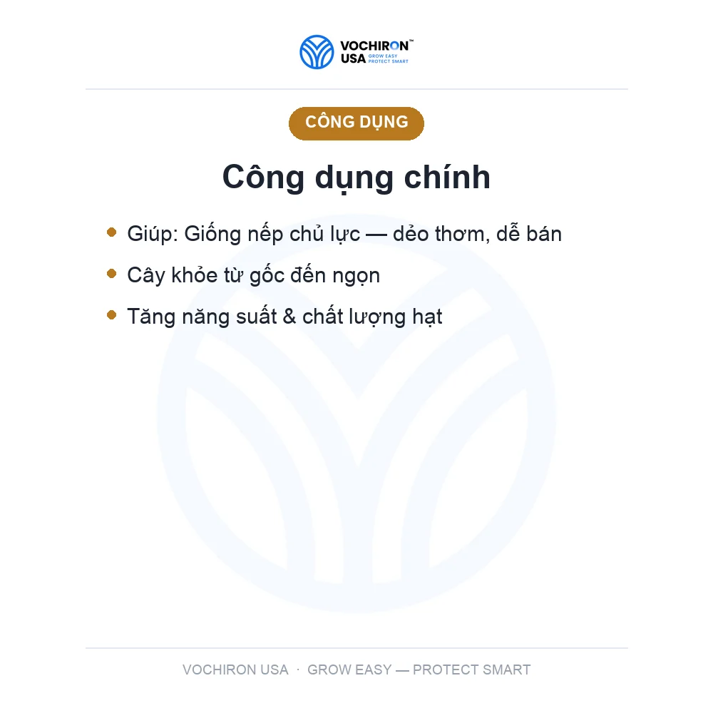 Nếp IR4625 — slide 3
