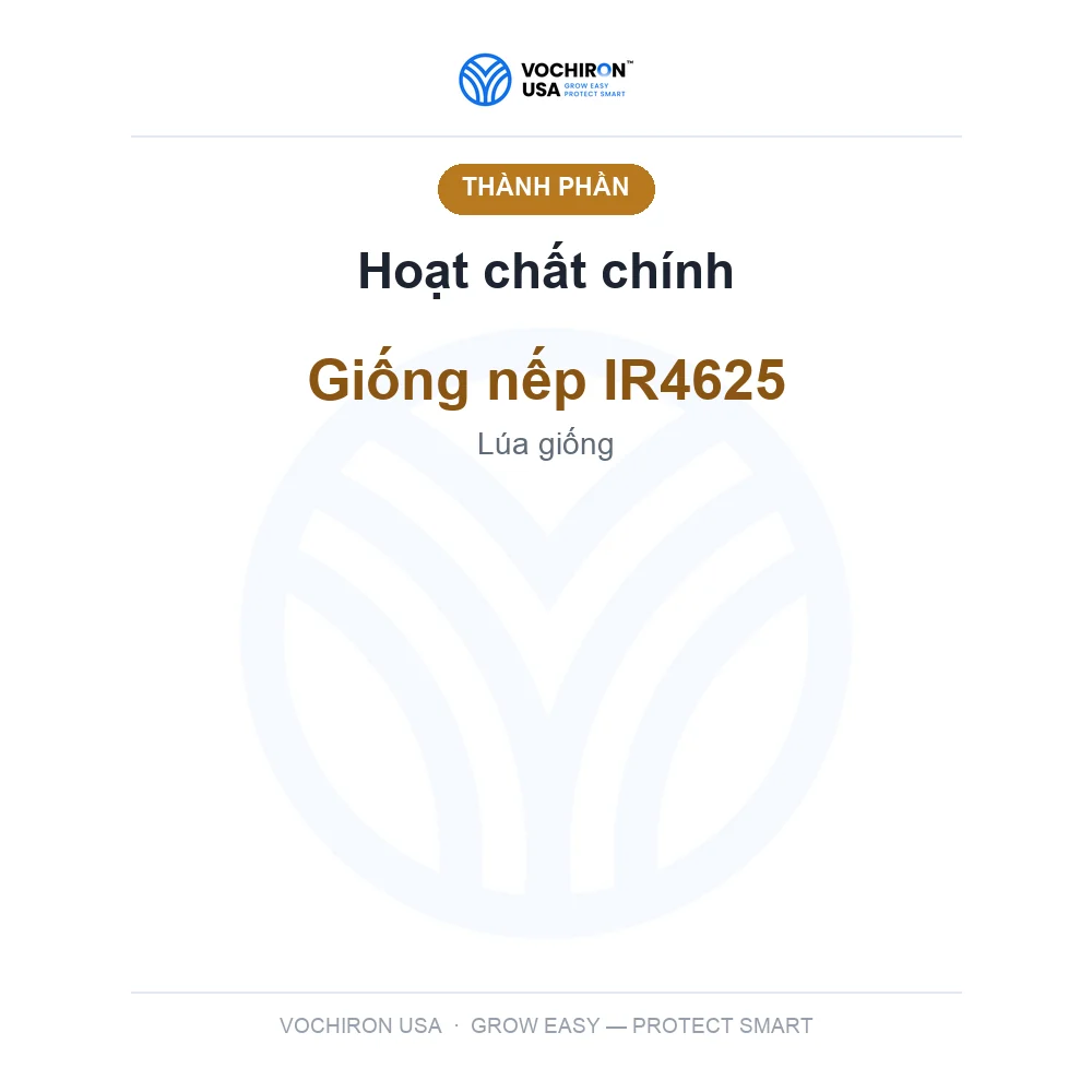Nếp IR4625 — slide 4